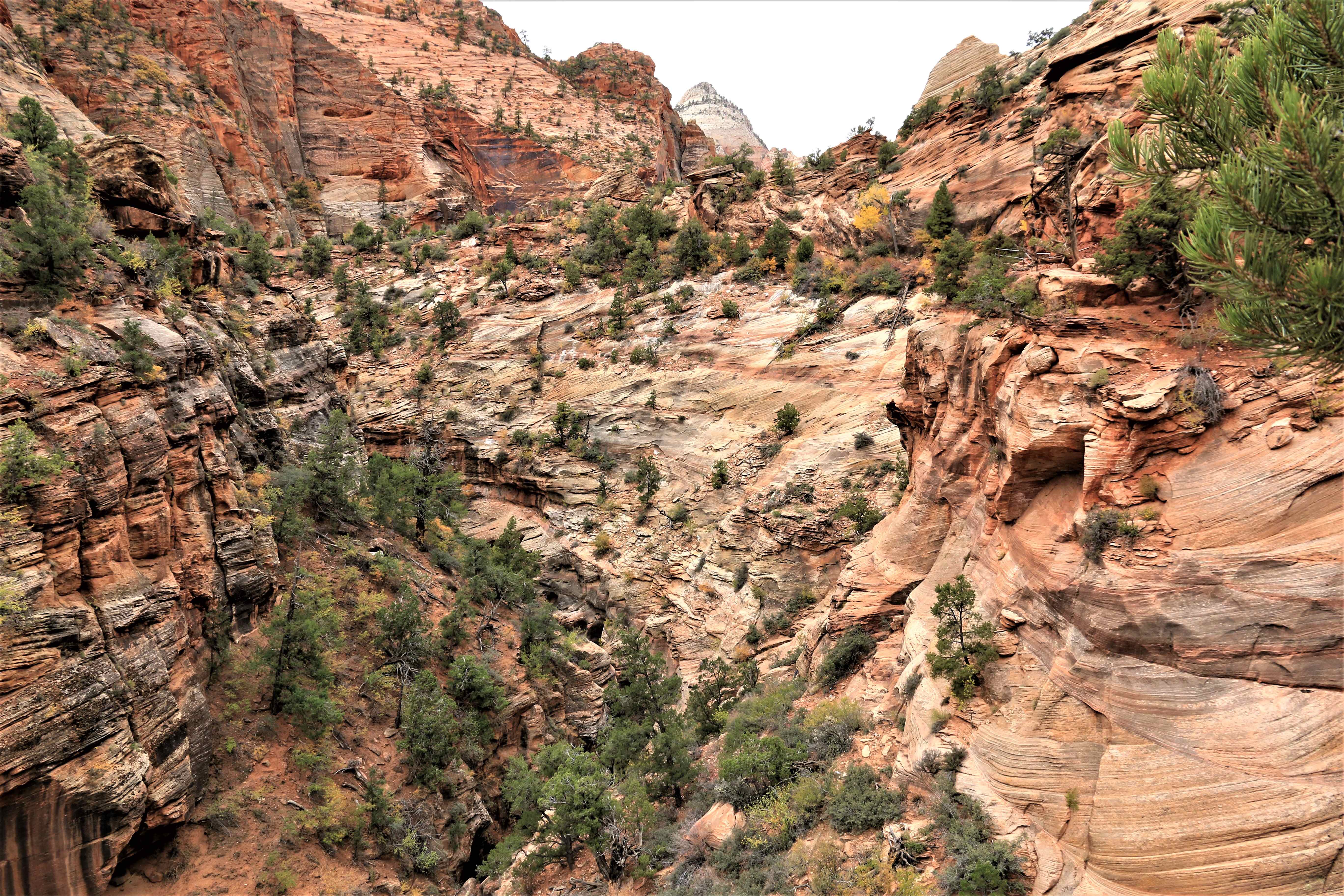 Zion NP